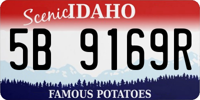 ID license plate 5B9169R