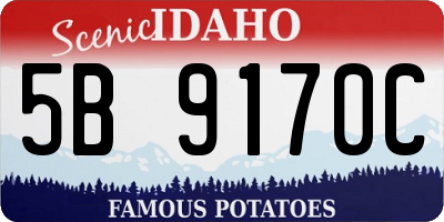 ID license plate 5B9170C