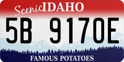 ID license plate 5B9170E