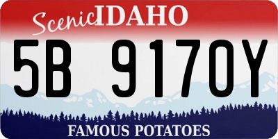 ID license plate 5B9170Y