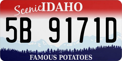 ID license plate 5B9171D