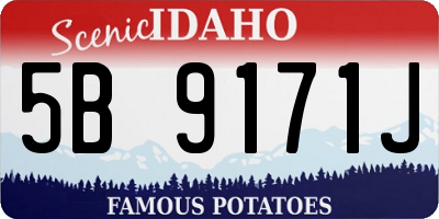 ID license plate 5B9171J