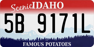 ID license plate 5B9171L