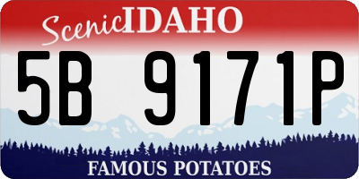 ID license plate 5B9171P