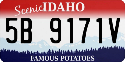 ID license plate 5B9171V