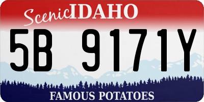 ID license plate 5B9171Y