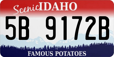ID license plate 5B9172B