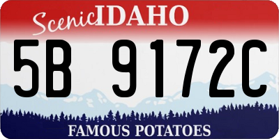 ID license plate 5B9172C