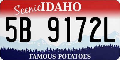 ID license plate 5B9172L
