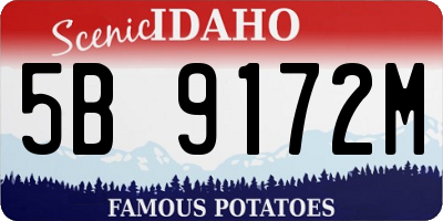 ID license plate 5B9172M