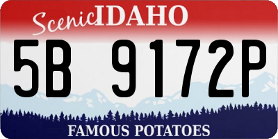 ID license plate 5B9172P
