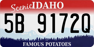 ID license plate 5B9172Q