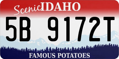 ID license plate 5B9172T