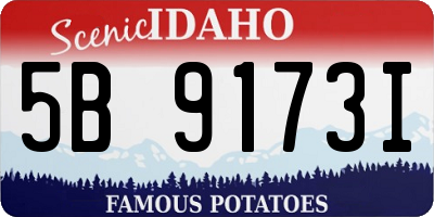 ID license plate 5B9173I