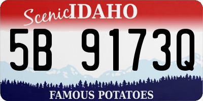 ID license plate 5B9173Q