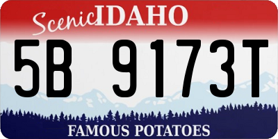 ID license plate 5B9173T