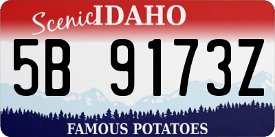 ID license plate 5B9173Z