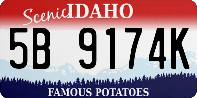 ID license plate 5B9174K