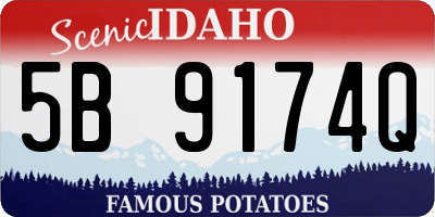 ID license plate 5B9174Q