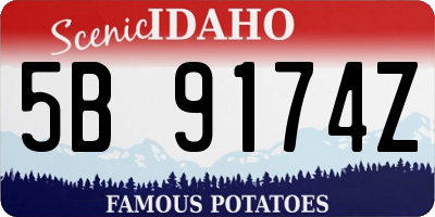 ID license plate 5B9174Z
