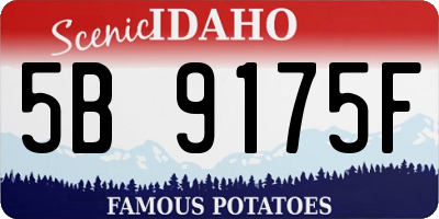 ID license plate 5B9175F
