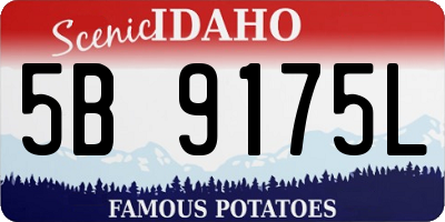 ID license plate 5B9175L