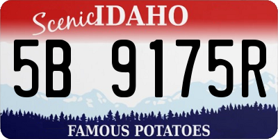 ID license plate 5B9175R