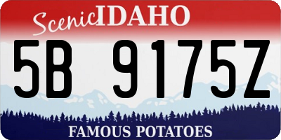 ID license plate 5B9175Z