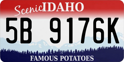 ID license plate 5B9176K
