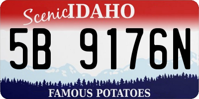ID license plate 5B9176N