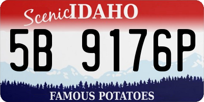 ID license plate 5B9176P