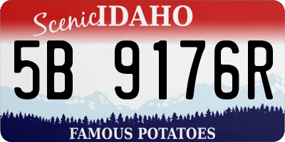ID license plate 5B9176R