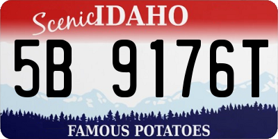 ID license plate 5B9176T