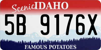 ID license plate 5B9176X