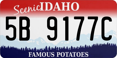 ID license plate 5B9177C