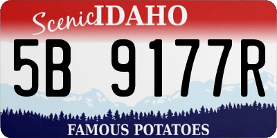 ID license plate 5B9177R
