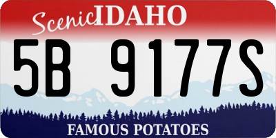 ID license plate 5B9177S
