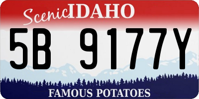 ID license plate 5B9177Y
