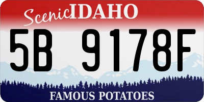 ID license plate 5B9178F