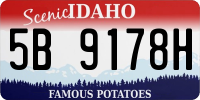 ID license plate 5B9178H