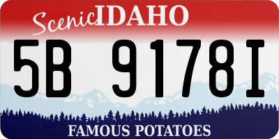 ID license plate 5B9178I