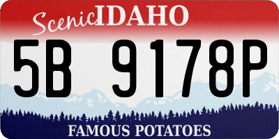 ID license plate 5B9178P