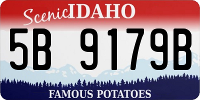 ID license plate 5B9179B