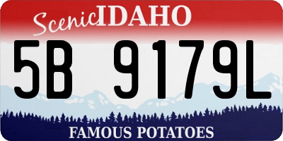 ID license plate 5B9179L