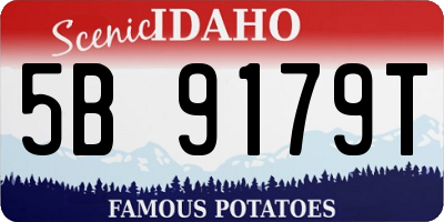 ID license plate 5B9179T