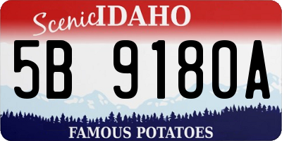 ID license plate 5B9180A