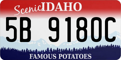 ID license plate 5B9180C