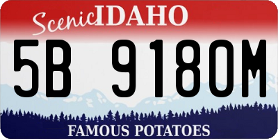 ID license plate 5B9180M