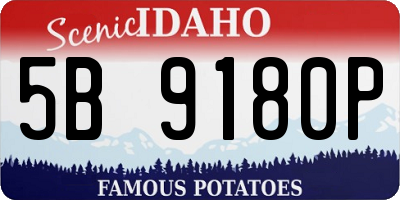 ID license plate 5B9180P