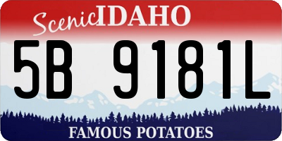 ID license plate 5B9181L